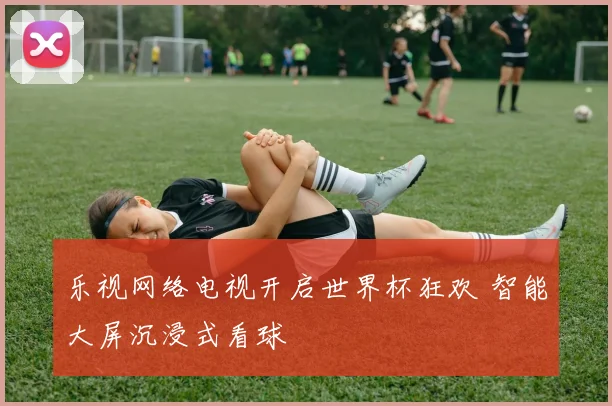 乐视网络电视开启世界杯狂欢 智能大屏沉浸式看球