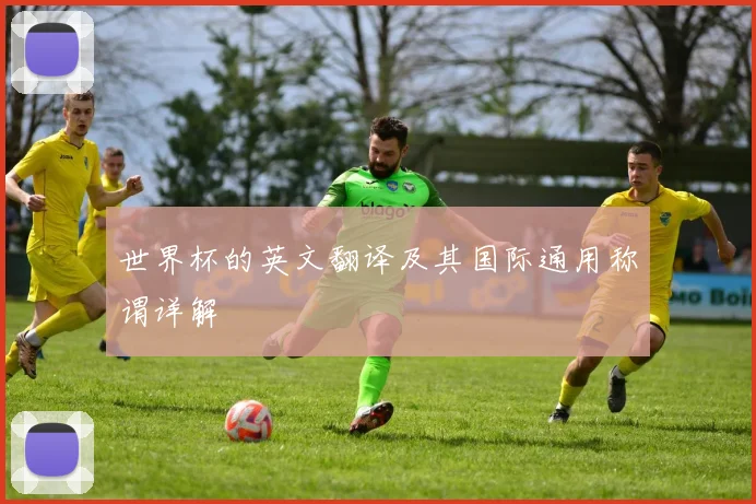 世界杯的英文翻译及其国际通用称谓详解